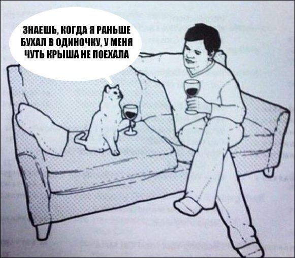 Подборка с фото приколами