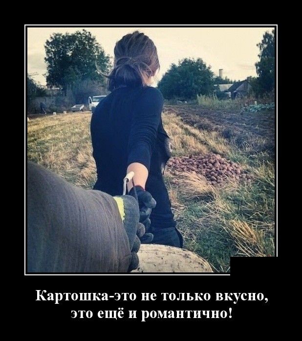 Демотиваторы с прикольным смыслом.