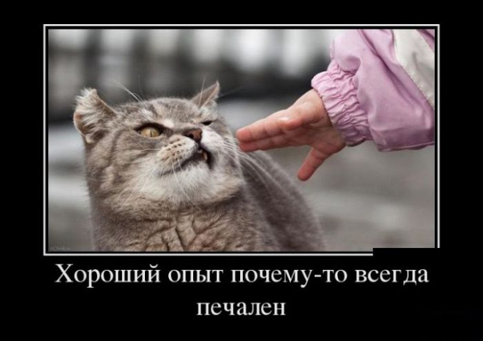 Классные демотиваторы.
