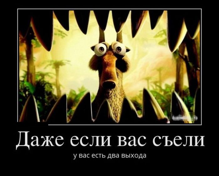 Демотиваторы прикольные, позитив дня.