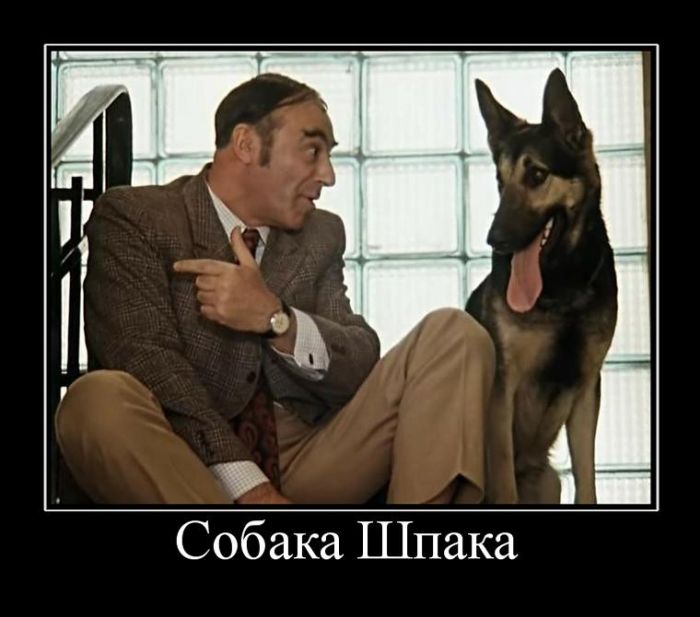 За день накопилось так много прикольных демотиваторов.