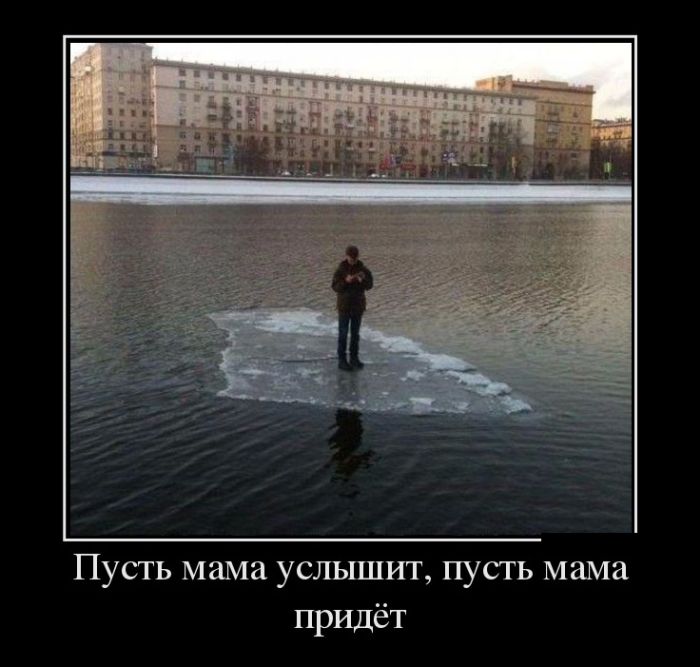 Картинки прикольные и фразы в подборке демотиваторов.