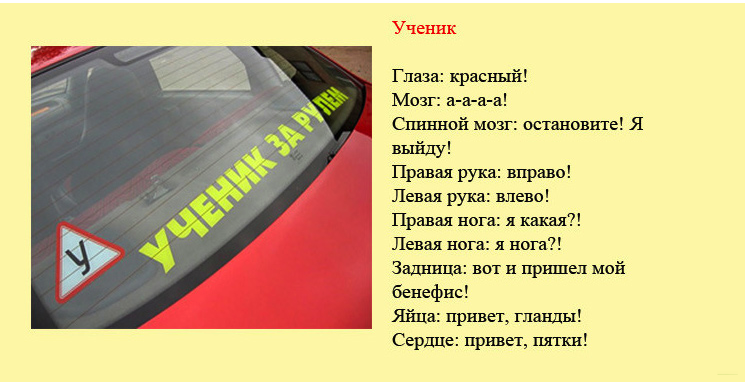 Классификация разных групп водителей в картинках.
