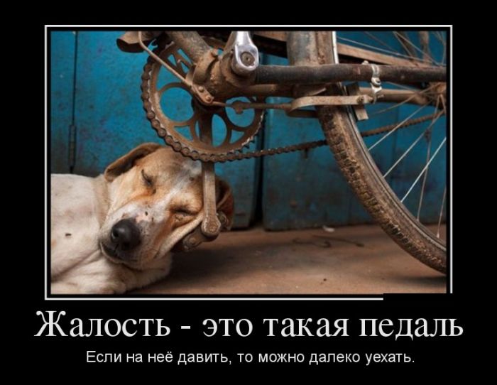 Лучшие демотиваторы на самые прикольные темы.