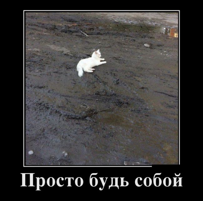 Демотиваторы прикольные про все.