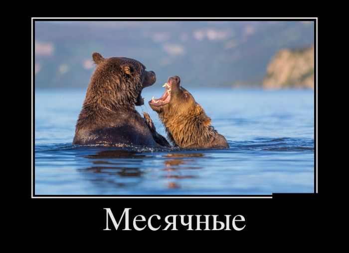 Демотиваторы прикольные и точно не последние.