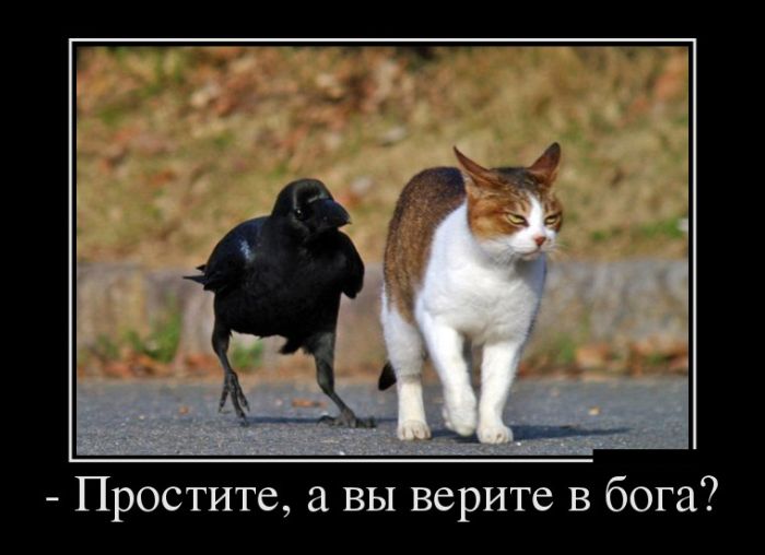 Демотиваторы, это прикольно не лишай себя удовольствия.