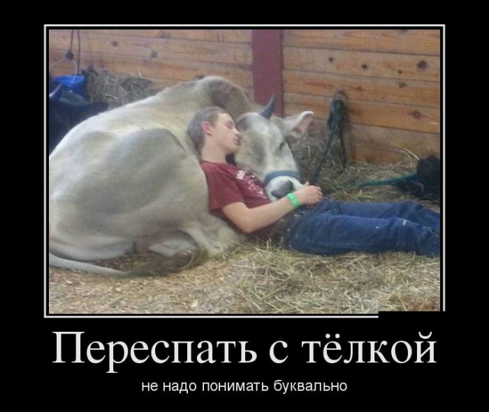 Демотиваторы для прикольного настроения.