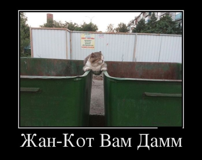 Демотиваторы, новые картинки с фразами.