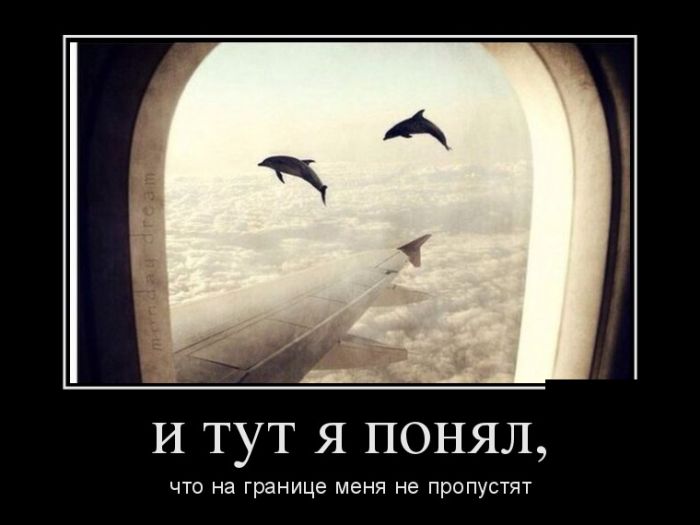 Прикольные демотиваторы это не капуста.