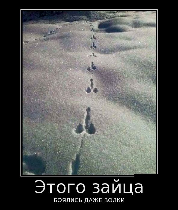 Веселые демотиваторы, делайся прикольным.
