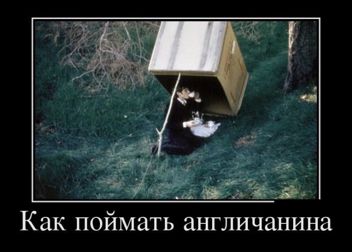Новые демотиваторы смешные и со смыслом.