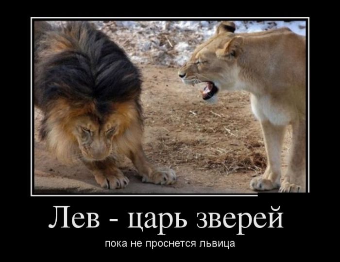 Демотиваторы, Класная подборка новых (22 фото)