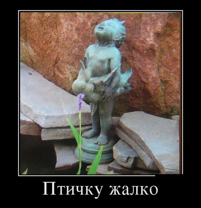 Демотиваторы с юмором.