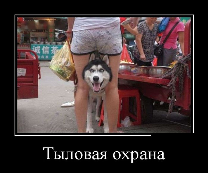 Представляю Вашему вниманию Демотиваторы.