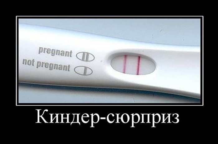 Демы с юмором новые.