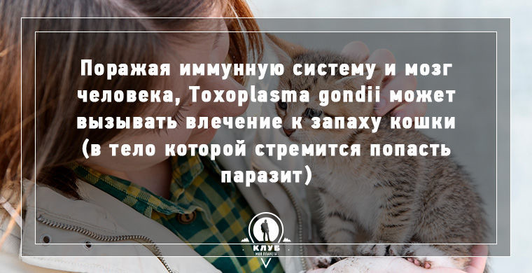 Интересное о зомби в нашем мире.