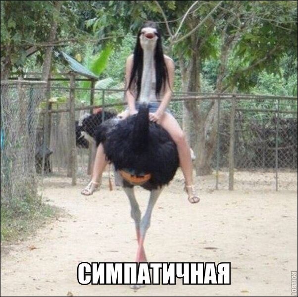 За фото приколы и здоровый образ жизни!