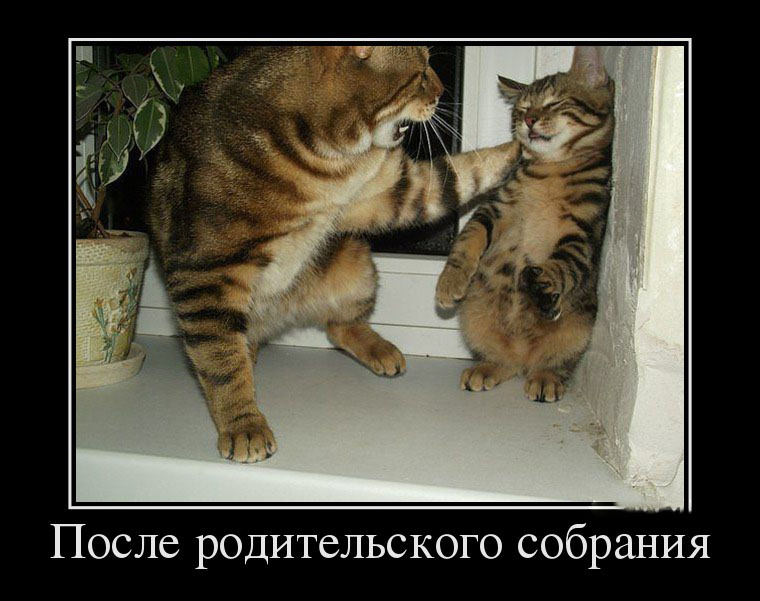 Демотиваторы на день Воскресный