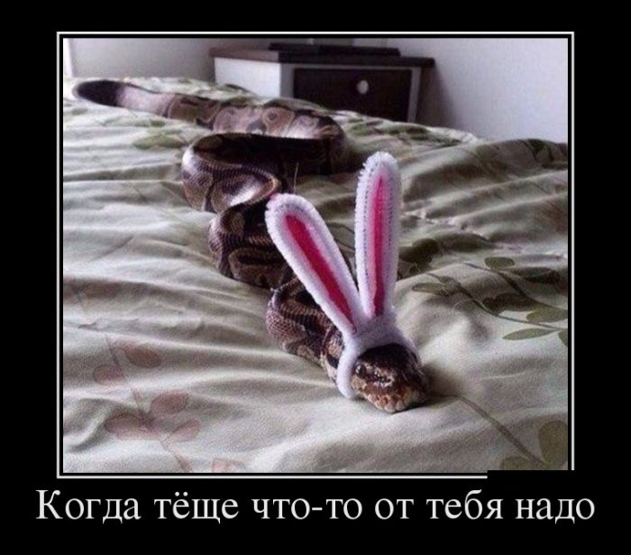 Ударим демотиватором по понедельнику