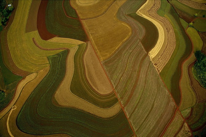 Мастер ви Yann Arthus-Bertrand