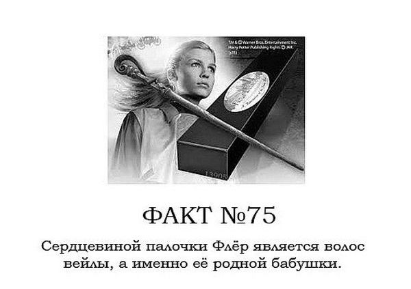 Интересные факты о Гарри Поттере.