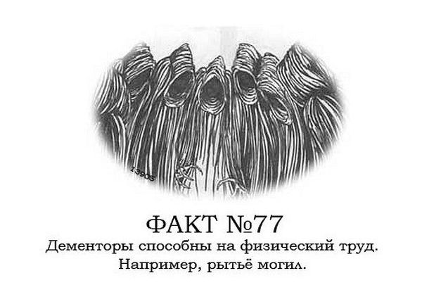 Интересные факты о Гарри Поттере.