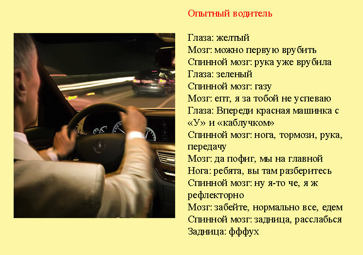 Классификация разных групп водителей в картинках.
