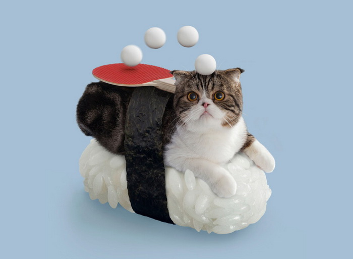 Котосуши