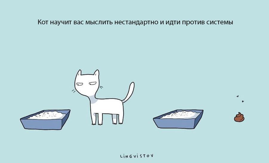 Преимущество в том, что бы завести себе кошку