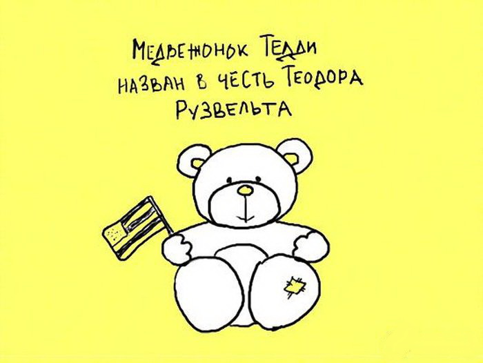 Интересные факты в рисунках
