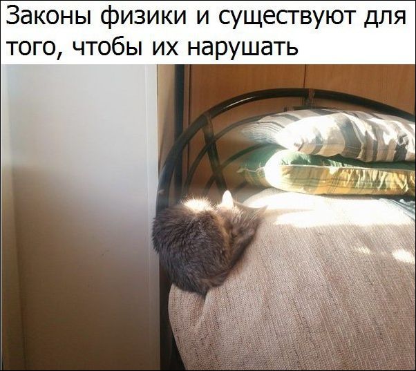 Подборка с фото приколами
