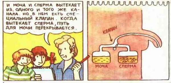 Откуда берутся дети? Китайская детская книжка
