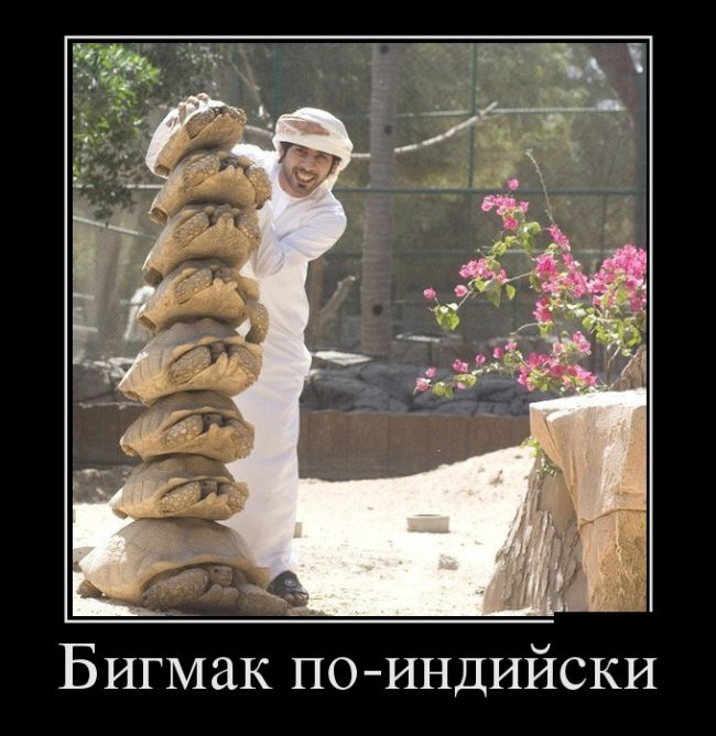 Демотиваторы с прикольными словами.
