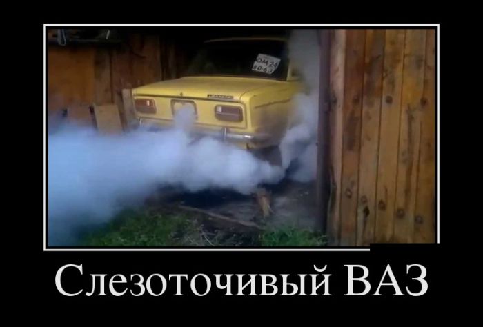 Демы прикольные на день.