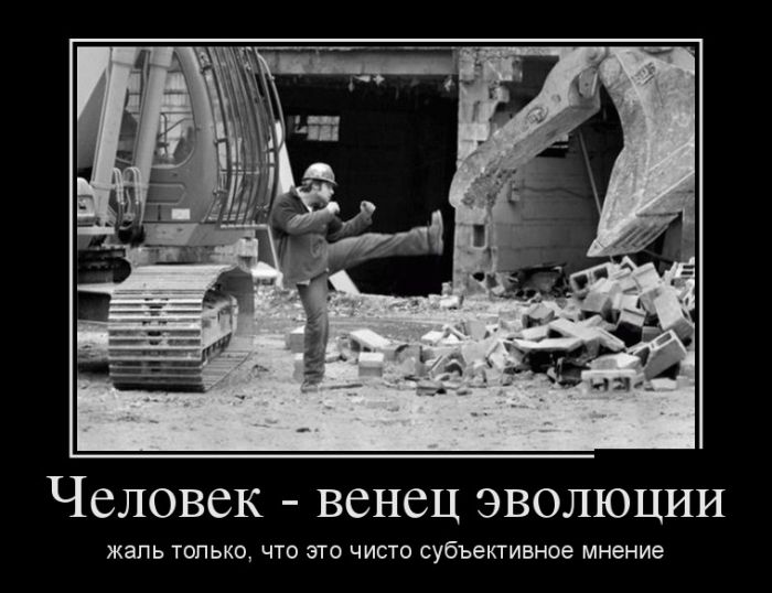 Демотиваторы, лучшие за день.