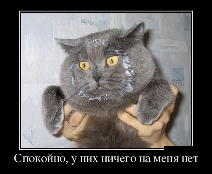 Демотиваторы, подборка новых и прикольных черных рамок.