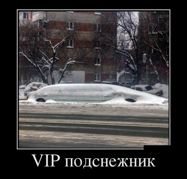 Демотиваторы это  приколы в картнках с цитатами.