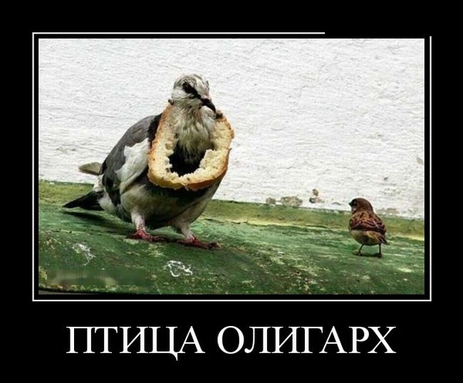 За день накопилось так много прикольных демотиваторов.