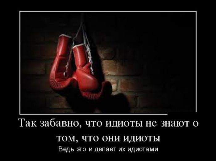 Приколы в демотиваторах для вас!