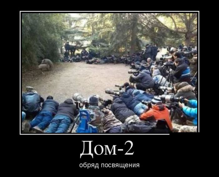 Прикольные демотиваторы и самые новые.