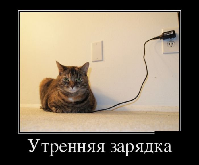Прикольные демотиваторы для тебя.