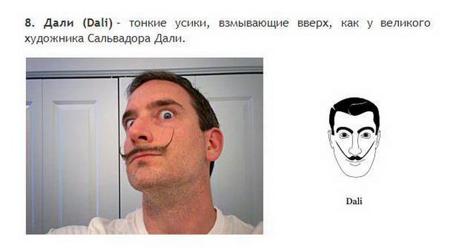 Борода и усы все разновидности