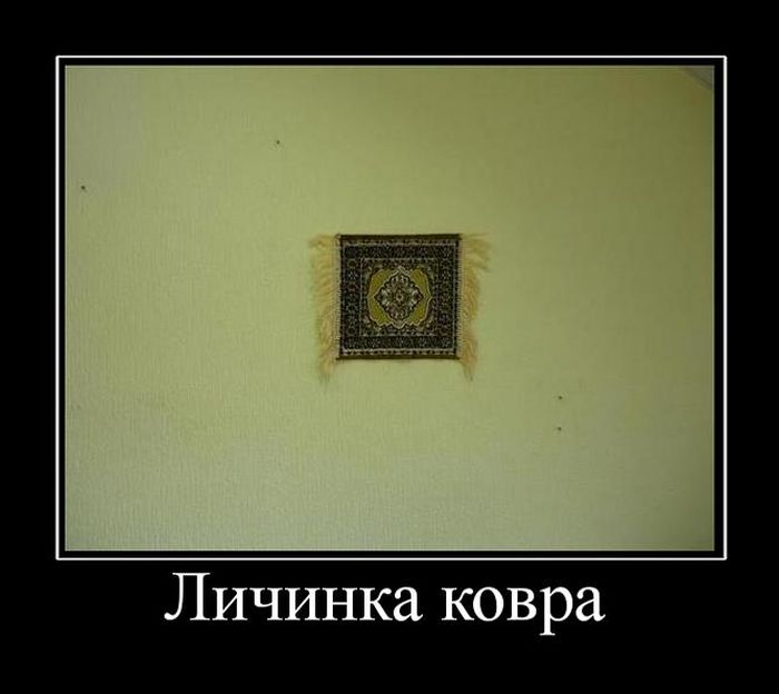 Новые демотиваторы и так поехали...