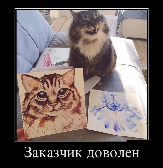 Демотиваторы, начни свой день правильно.