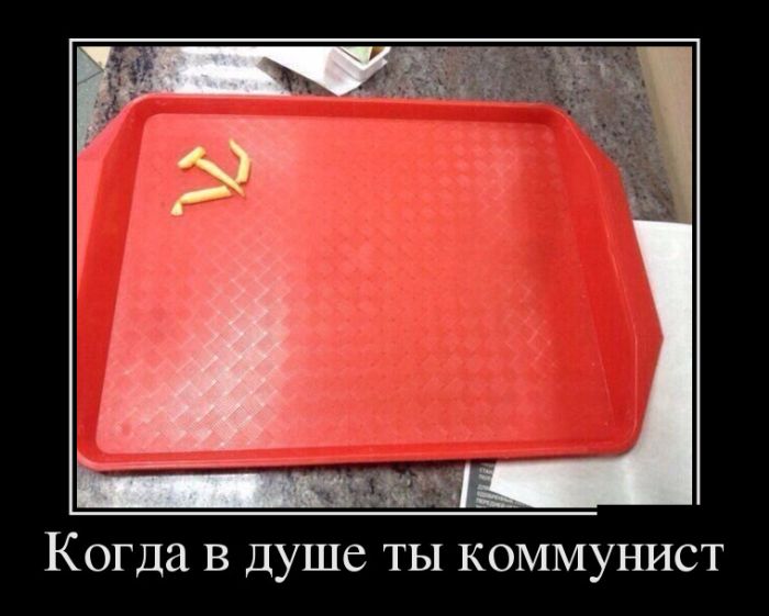 Приколы и цитаты в демотиваторах.