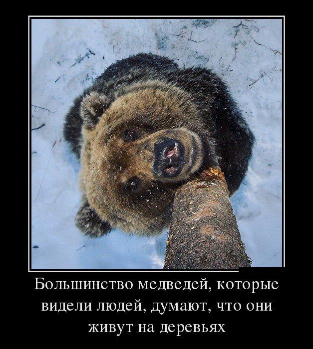 Новые и только прикольные демотиваторы дня.