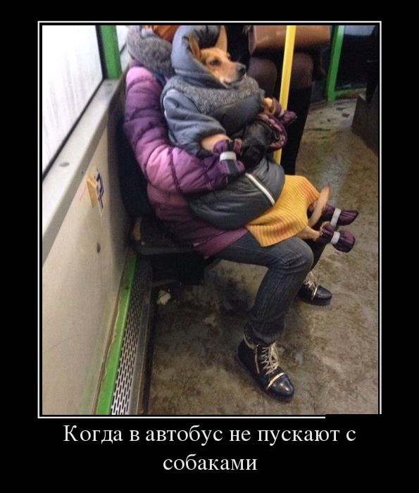 Веселые демотиваторы, делайся прикольным.