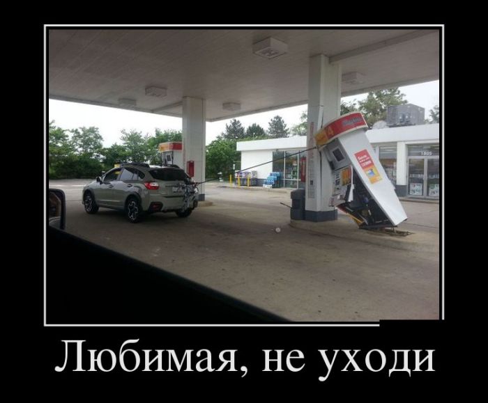 Демотиваторы, к нам попадают только прикольные.