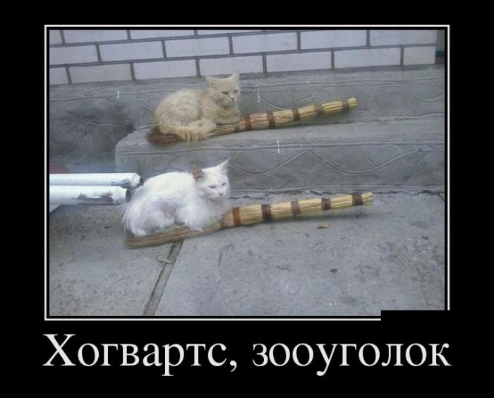 Демотиваторы к доброму утру.